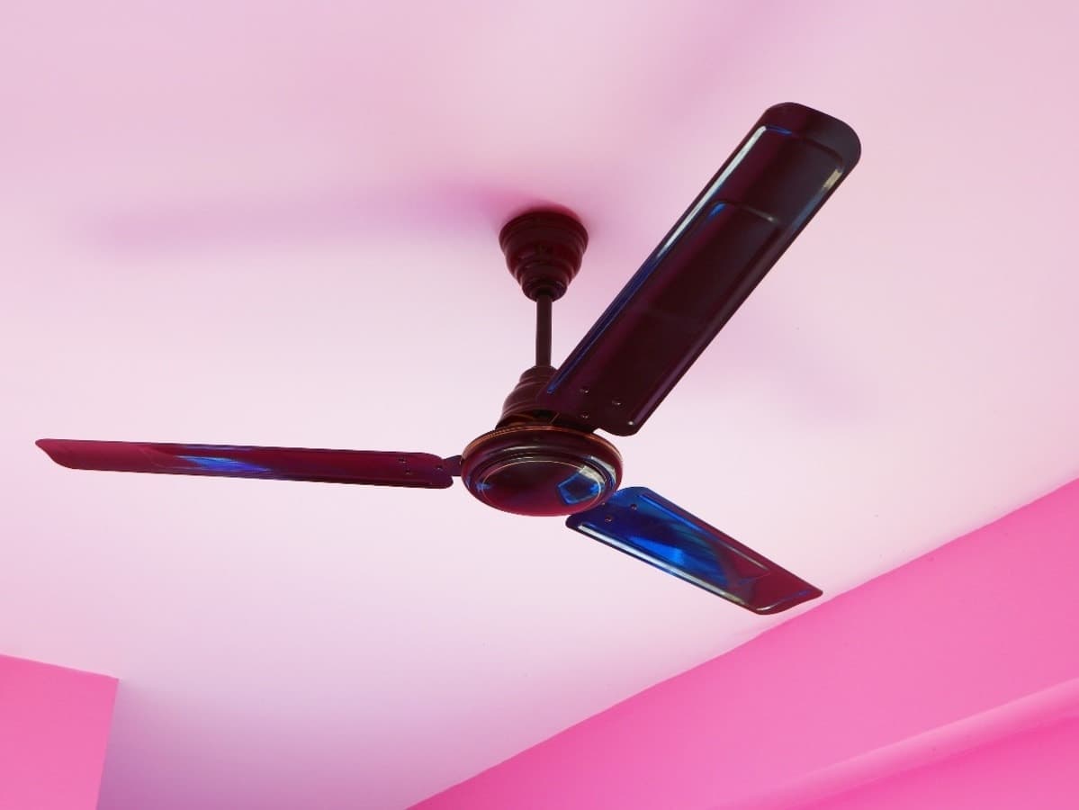 बिहार के स्कूल में पंखा चलाने को लेकर लड़कियों के बीच मारपीट, चौथी की छात्रा की गई जान