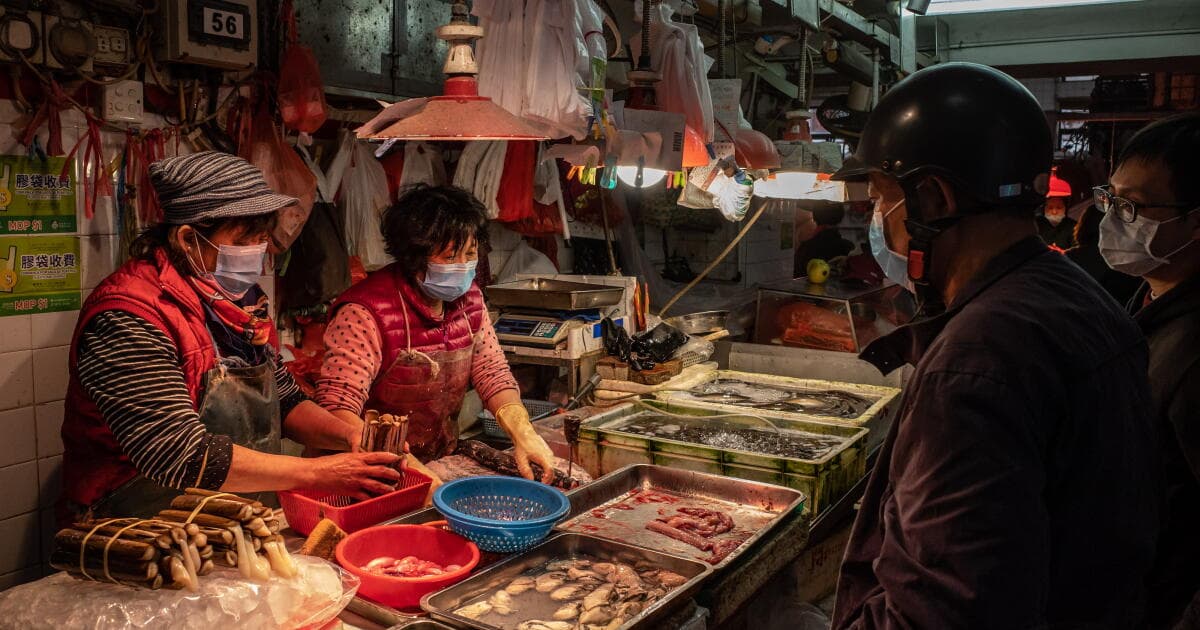 Contributor: Forget about COVID-19's origins. Focus on preventing the next pandemic